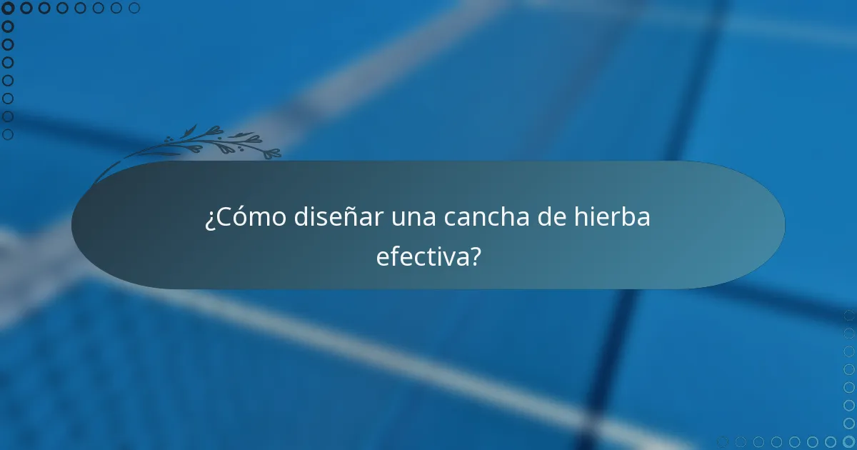 ¿Cómo diseñar una cancha de hierba efectiva?