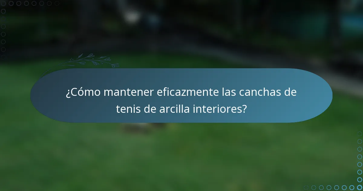 ¿Cómo mantener eficazmente las canchas de tenis de arcilla interiores?