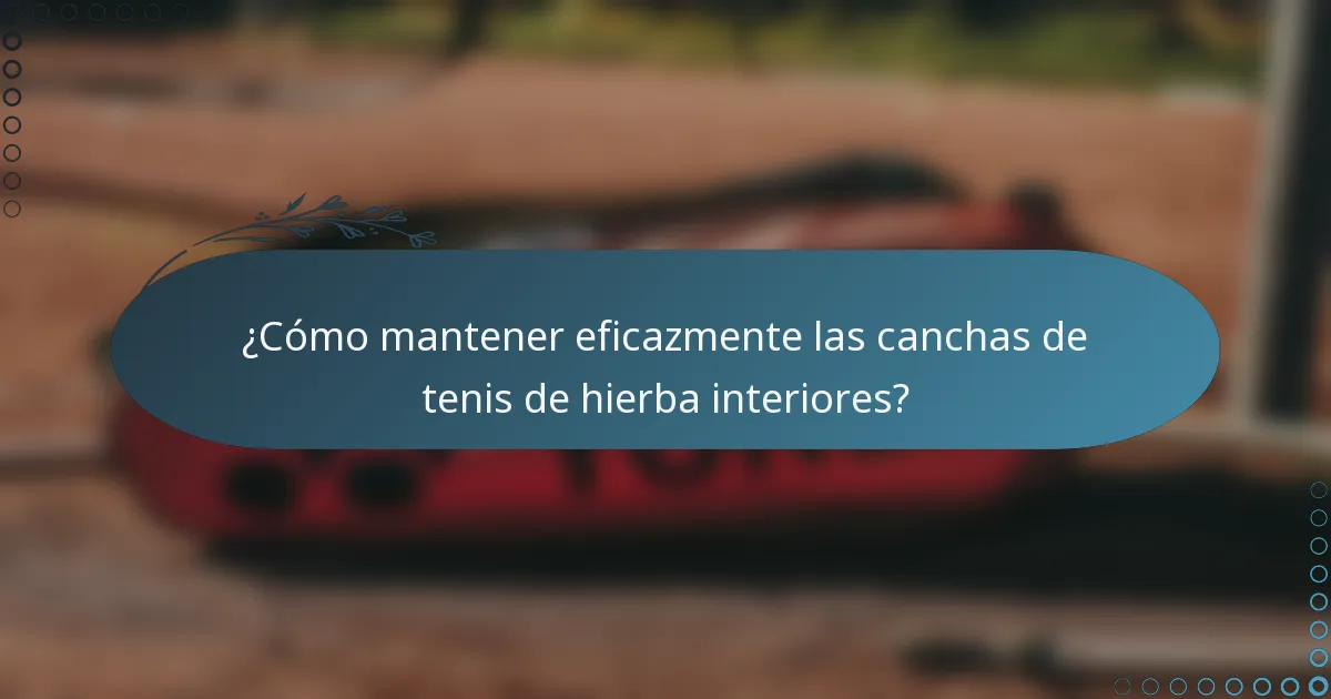 ¿Cómo mantener eficazmente las canchas de tenis de hierba interiores?
