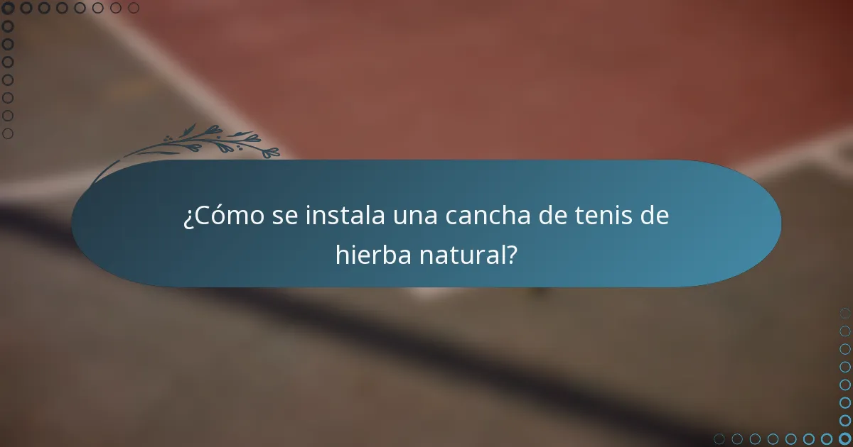 ¿Cómo se instala una cancha de tenis de hierba natural?