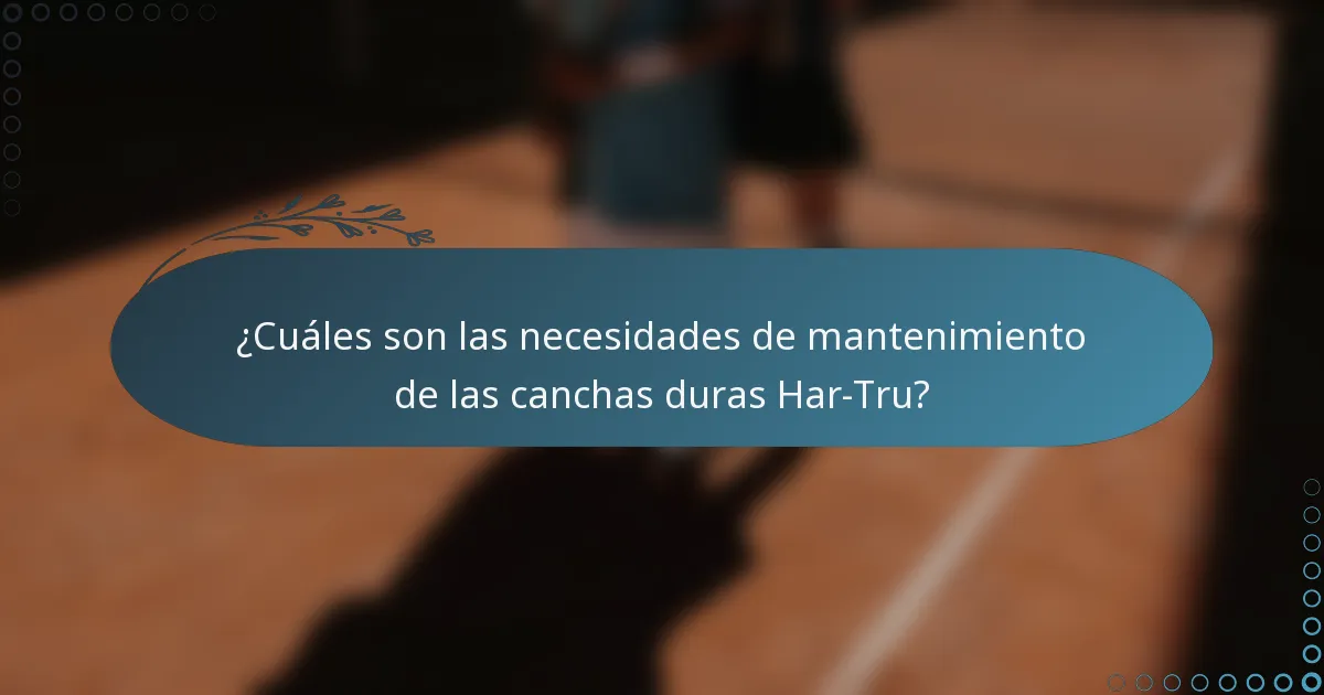 ¿Cuáles son las necesidades de mantenimiento de las canchas duras Har-Tru?