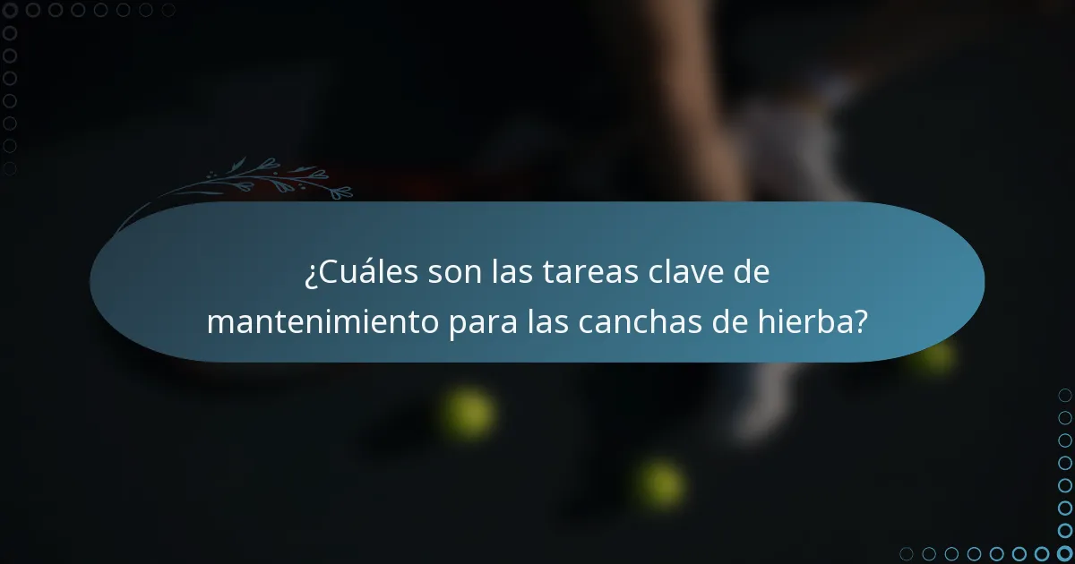 ¿Cuáles son las tareas clave de mantenimiento para las canchas de hierba?