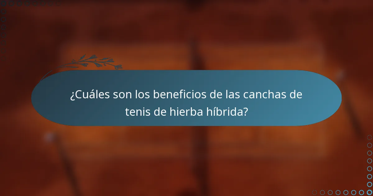 ¿Cuáles son los beneficios de las canchas de tenis de hierba híbrida?