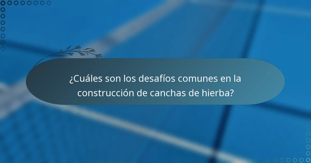 ¿Cuáles son los desafíos comunes en la construcción de canchas de hierba?