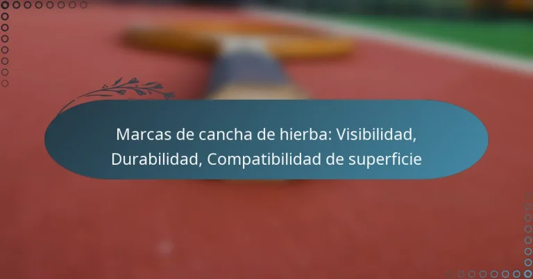 featured-image-marcas-de-cancha-de-hierba-visibilidad-durabilidad-compatibilidad-de-superficie