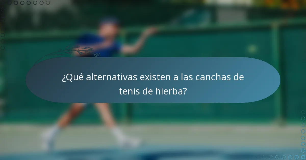 ¿Qué alternativas existen a las canchas de tenis de hierba?