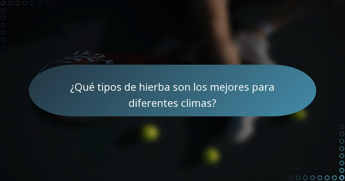 ¿Qué tipos de hierba son los mejores para diferentes climas?